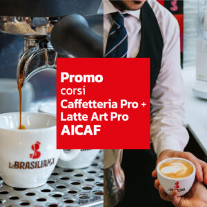 tazzine caffè e latte art per corsi caffetteria pro bundle